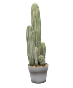 faux-cactus-23inch-etsy