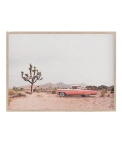 framed-print-coral-vintage-joshua-tree-desert-art-etsy