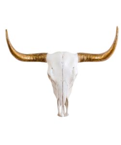 extra-large-bison-wall-skull-with-gold-horns-the-cave-uk