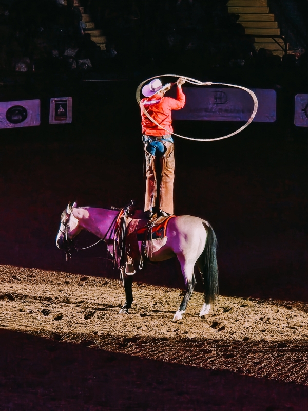 Thing to do at Fort Worth Texas