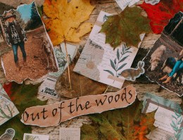 Melbelle Out Of The Woods Collection