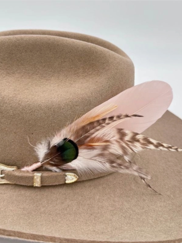 Hat feathers