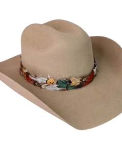 multicoloured-western-feather-hat-band