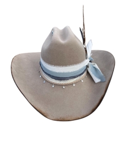 Western hat with feather
