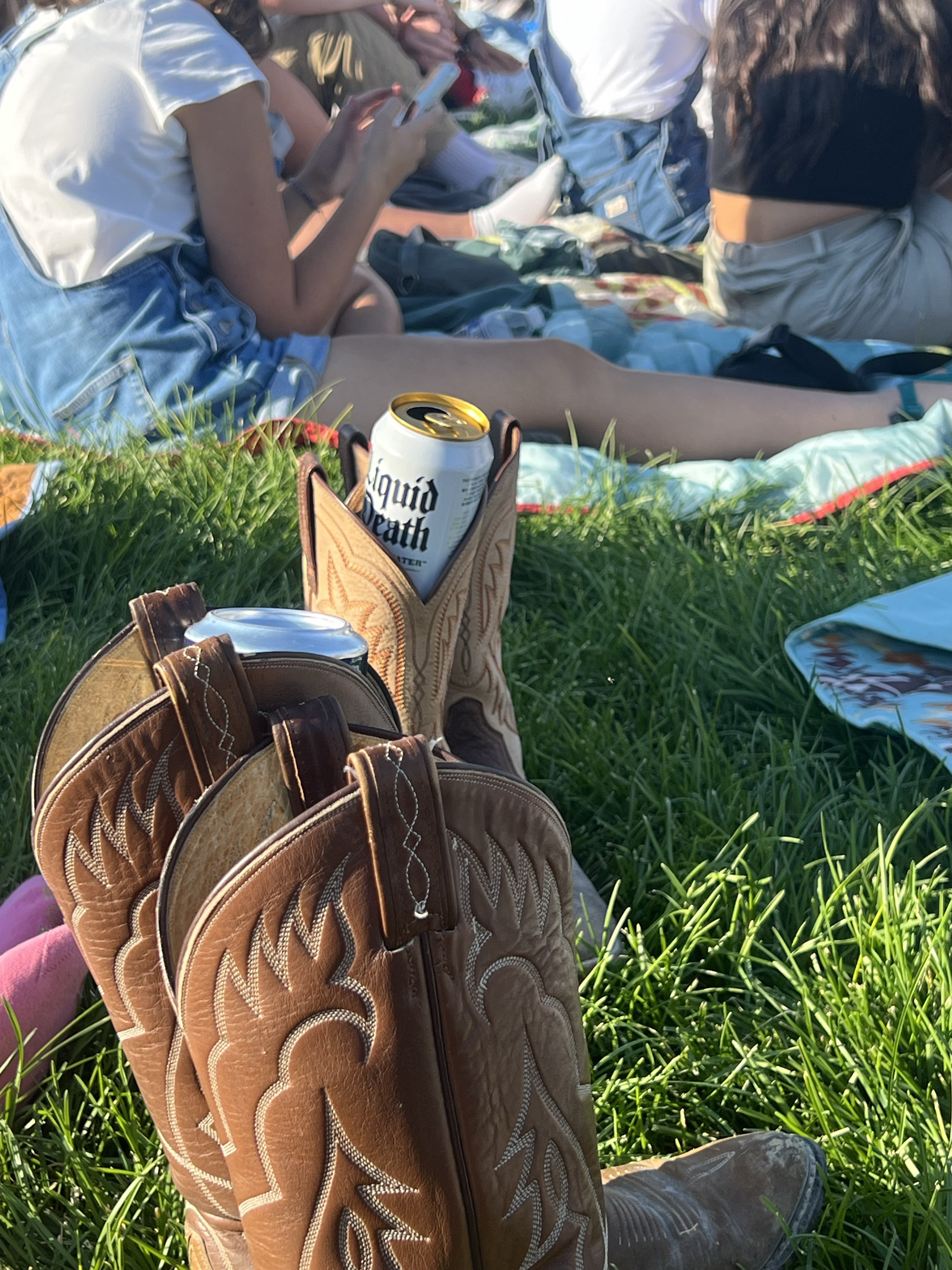 Country on the common festival, London